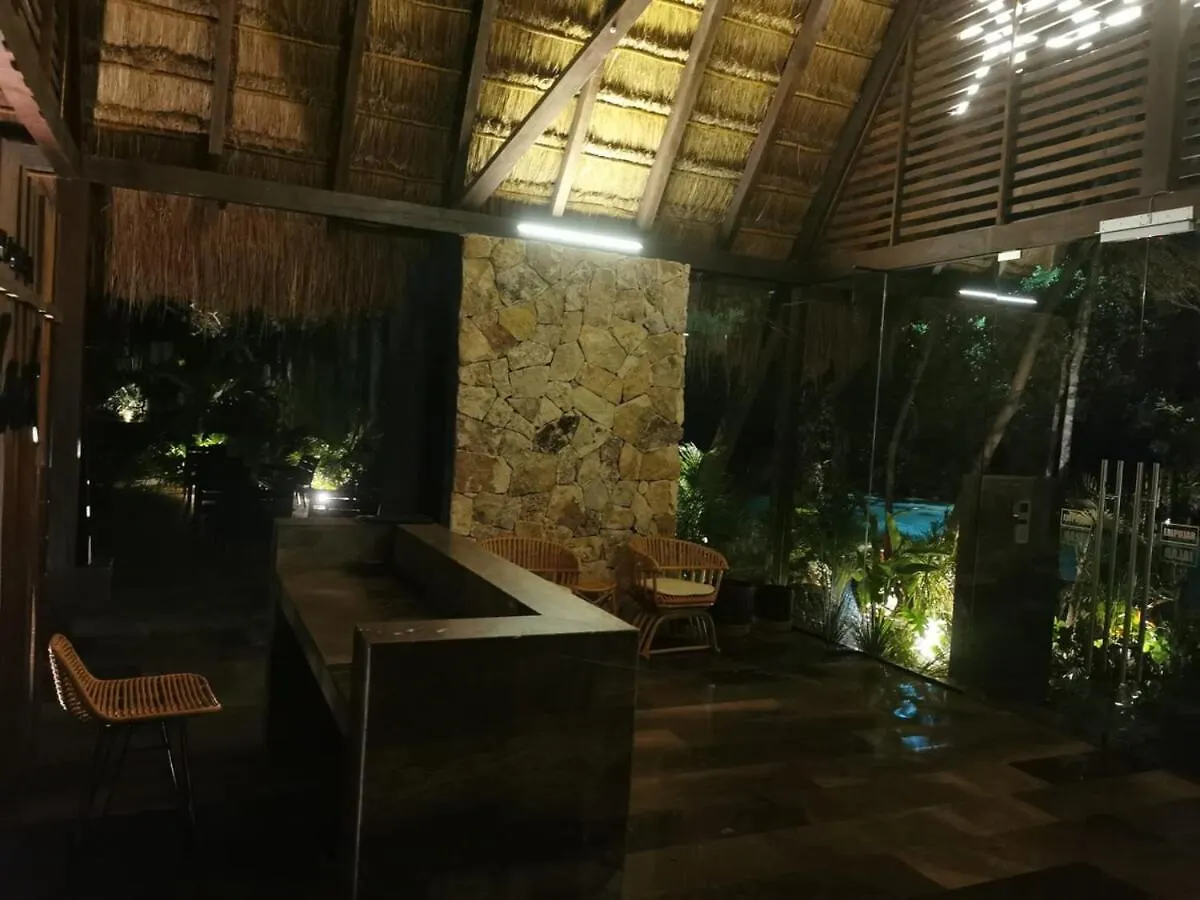 Paramar Black Condominio En Tulum 0*,  Meksyk