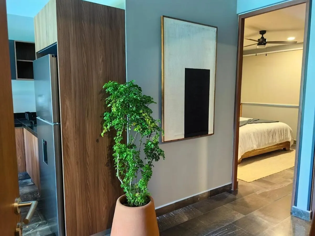 Paramar Black Condominio En 图卢姆