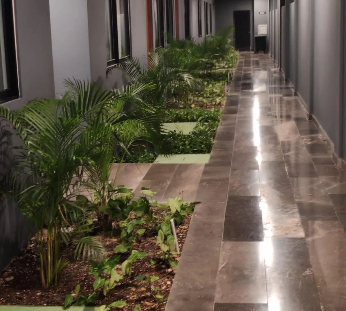 公寓 Paramar Black Condominio En 图卢姆