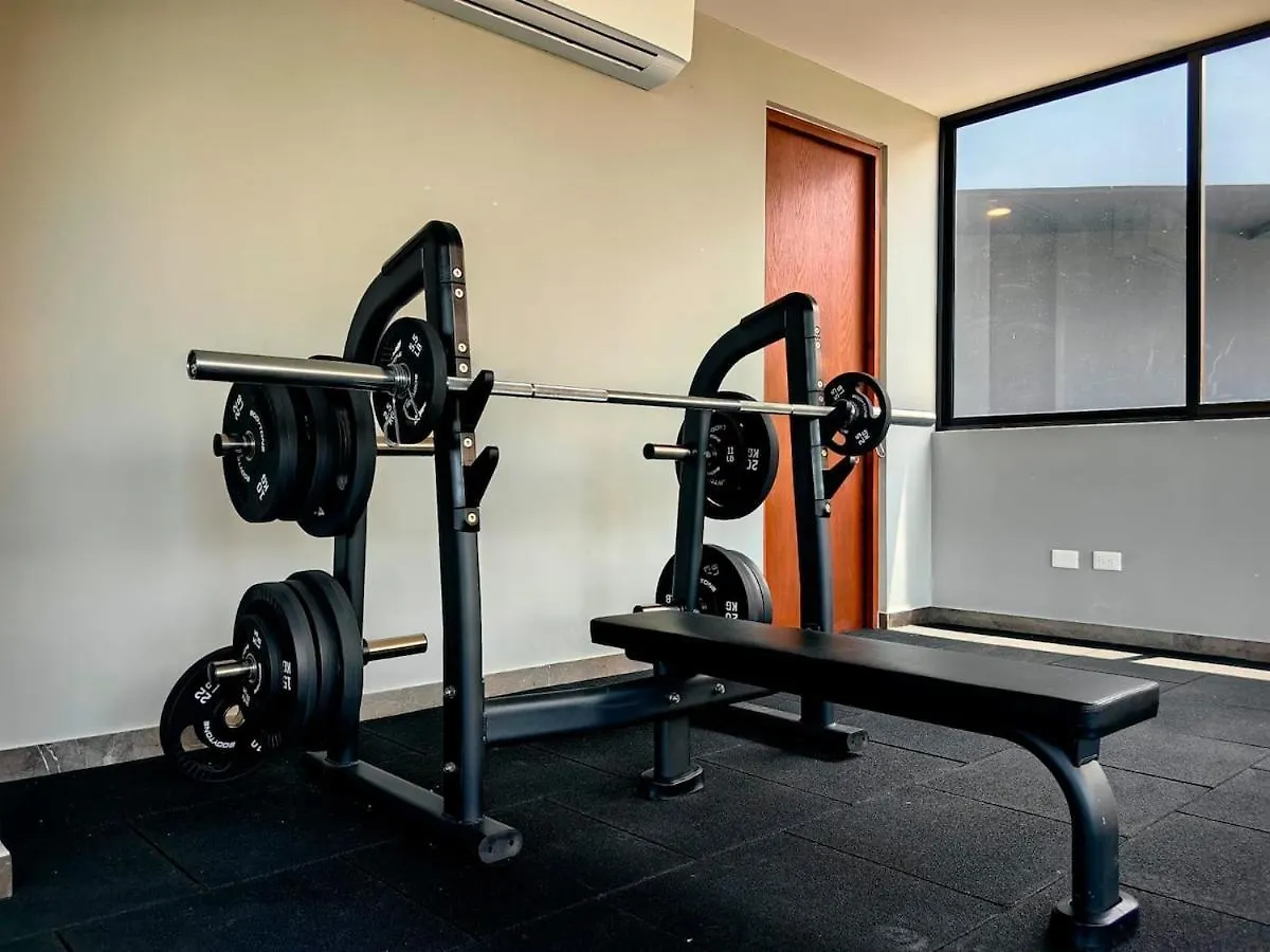 公寓 Paramar Black Condominio En 图卢姆